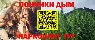шишки Обь