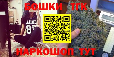 шишки Обь