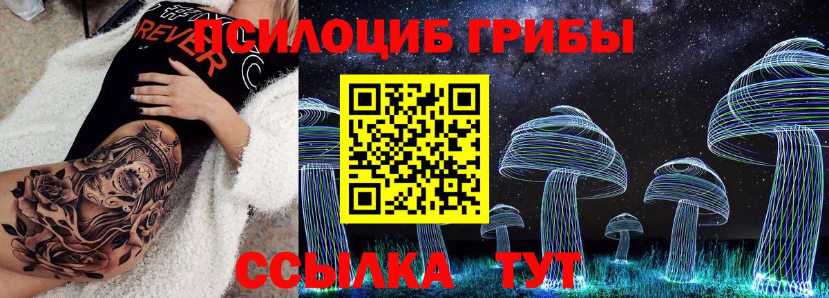 Тосно  Псилоцибиновые грибы Magic Shrooms  Вход с VPN 