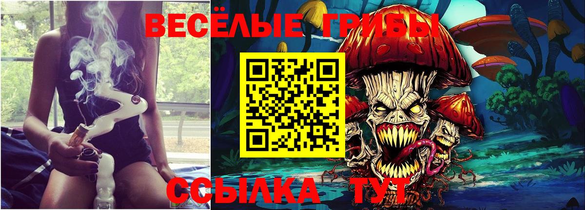 Псилоцибиновые грибы Psilocybe Тосно